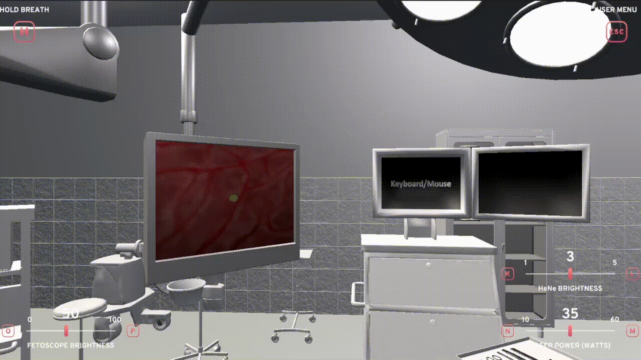 Twin-Twin Training Simulation Gameplay Gif